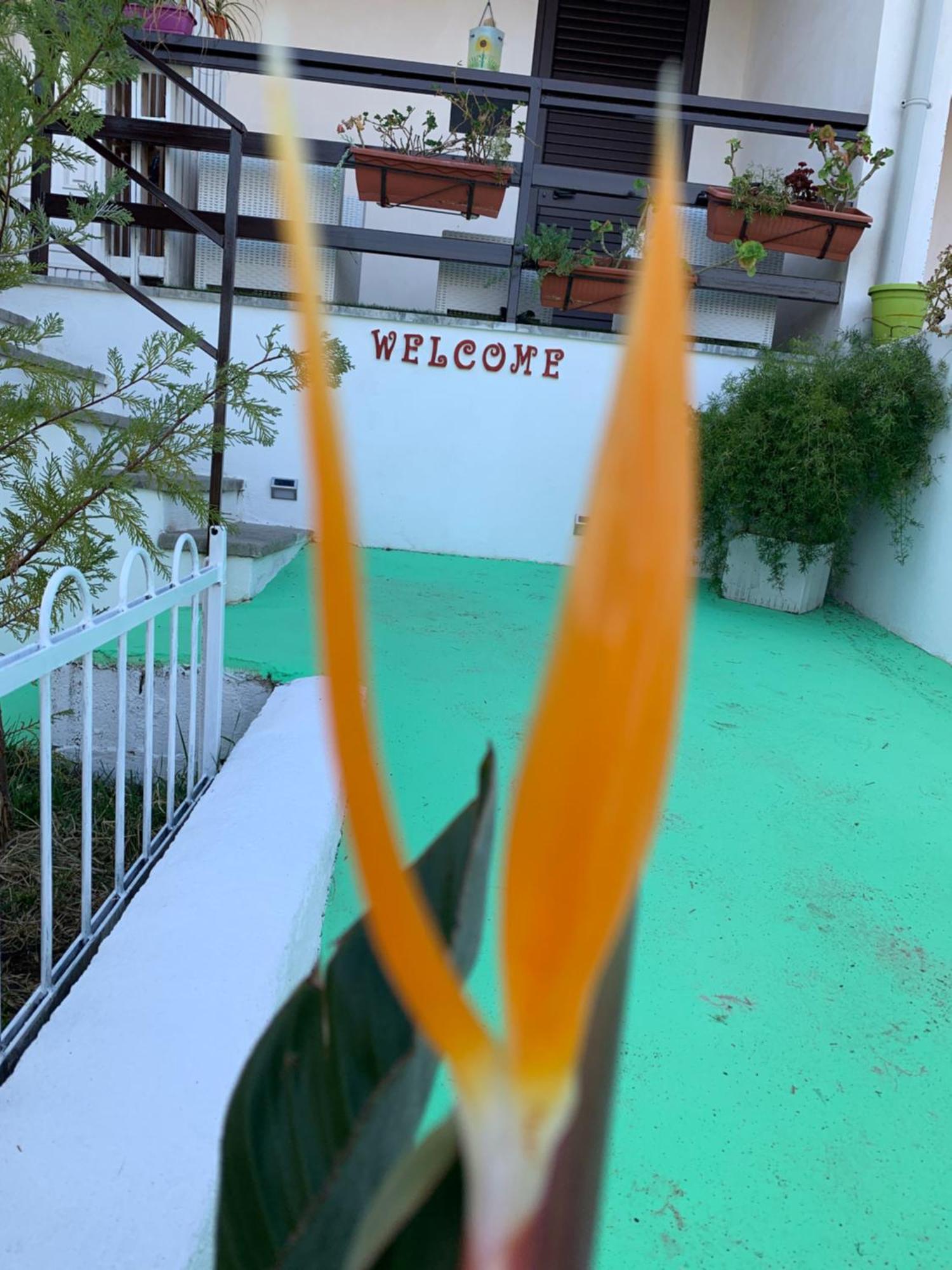 B&B A Casa Di Picci Santa Domenica  Exteriér fotografie