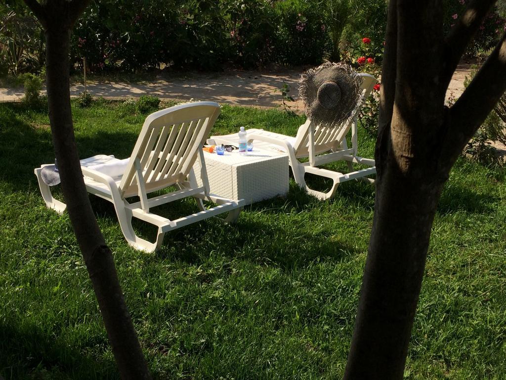 B&B A Casa Di Picci Santa Domenica  Exteriér fotografie