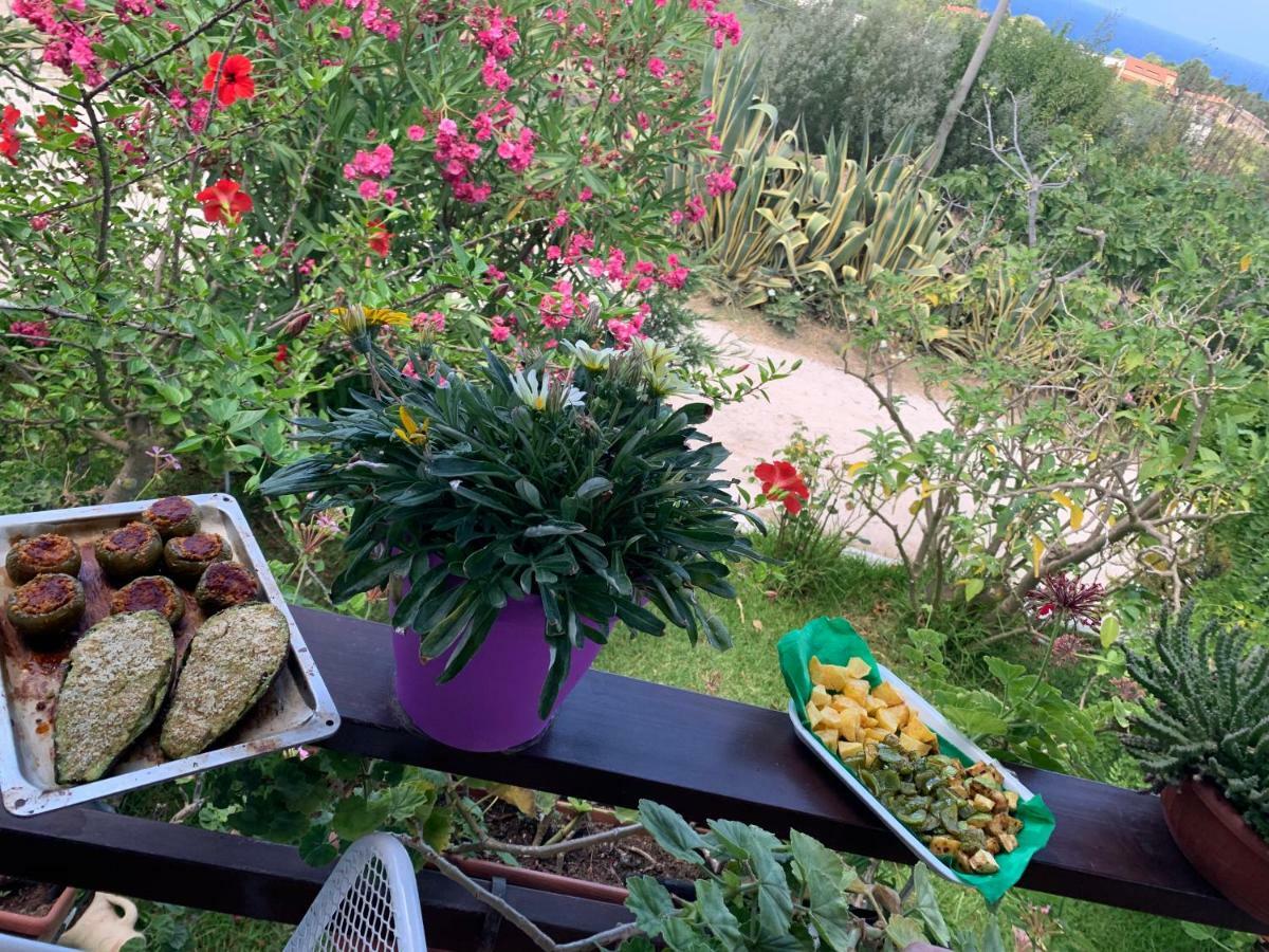 B&B A Casa Di Picci Santa Domenica  Exteriér fotografie