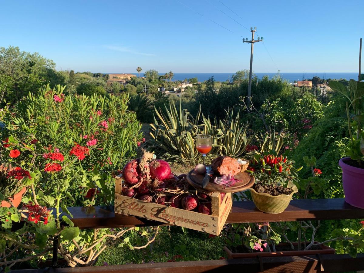 B&B A Casa Di Picci Santa Domenica  Exteriér fotografie